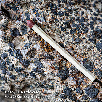 2026 gtv kepzes Balaton-felvidek II Tihany Kis-erdo-teto web