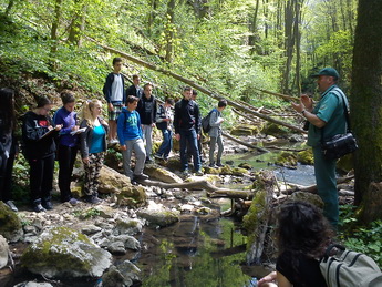 Geopark vetelkedo 2015 donton a Kerteskoi szurdok 345