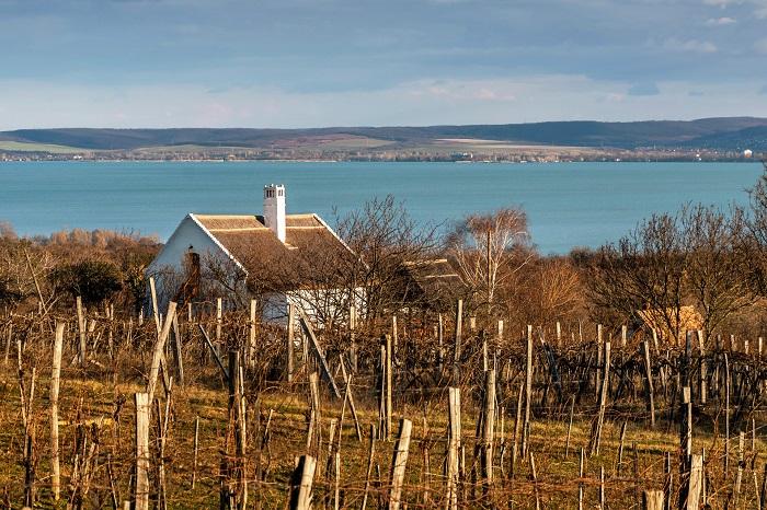 szőlőhegy 02 balatonakali gulyasattila epiteszforum 700