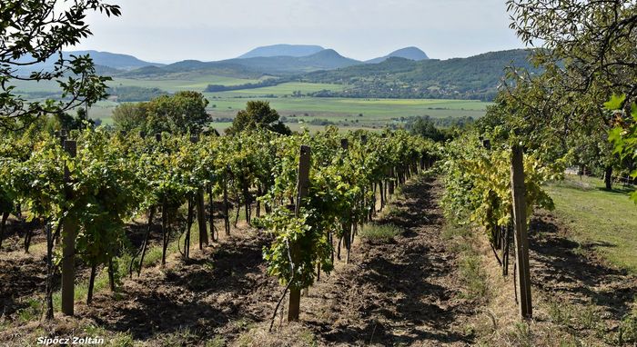 20180916 SipoczZoli Fekete-hegyi panorama 700