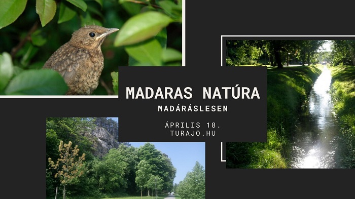 madaras natura 20200418 rcs 700