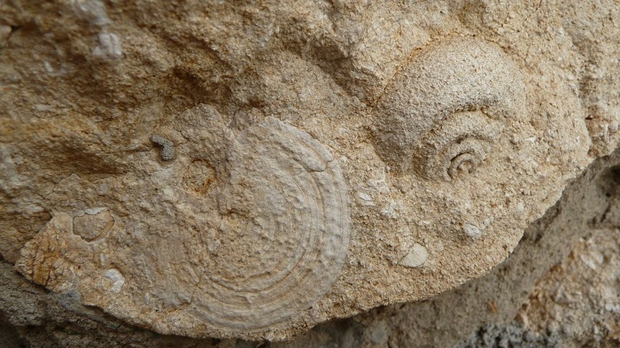 sj 20231101 02 700