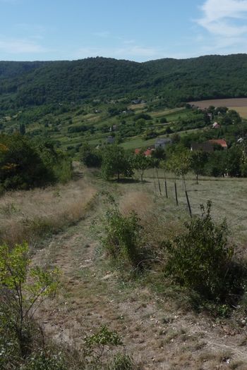 Lesencefalu Szőlőhegy vagott