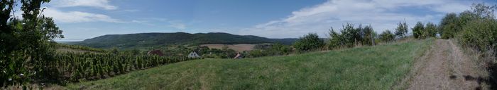 Panorama Lesencefalu szőlőhegy vagott