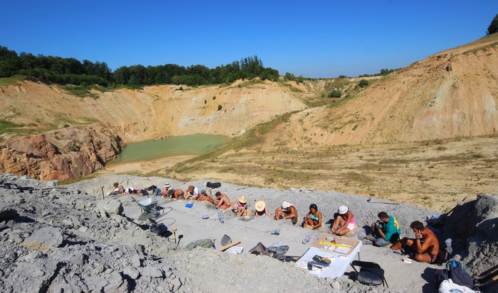 Dino-ásatás Iharkúton1 Magyar Dinoszaurusz-kutató Expedíció vagott