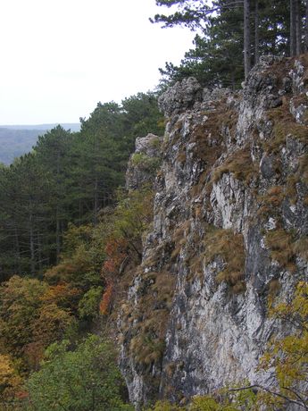 Koloska-völgy geotúra 20121014 21 345